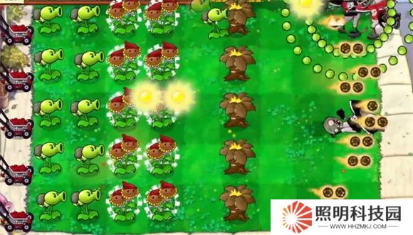 植物大戰僵尸啟命版1.0