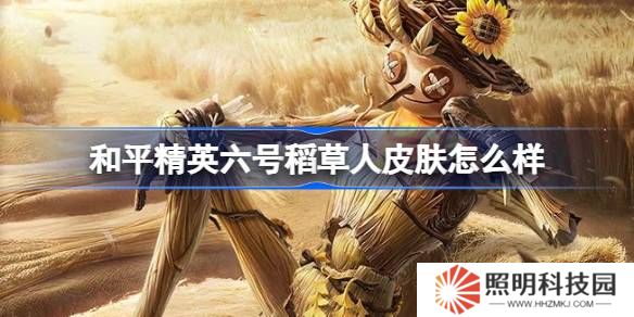 和平精英六號稻草人怎么樣-和平精英六號稻草人皮膚價格