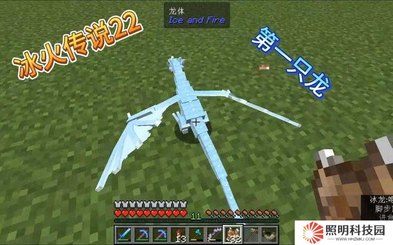 冰封禁地終極挑戰(zhàn)突破冰原守衛(wèi)者冰龍蛋獲取秘籍，解鎖零失誤攻略制霸極寒之境