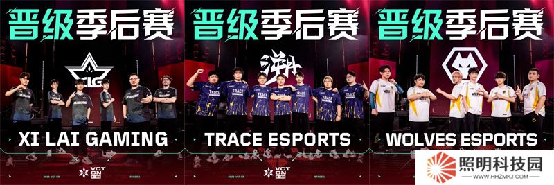 XLG/TE/WOL攜手晉級季后賽，Omega組季后賽名額全部出爐