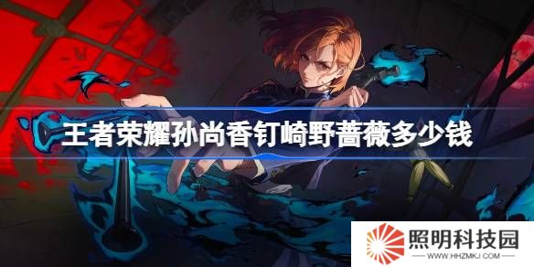 王者榮耀孫尚香釘崎野薔薇多少錢-王者榮耀孫尚香咒回皮膚價格介紹