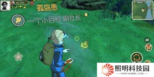 金色羽毛在小森生活中究竟有何妙用？全面攻略指南揭秘！